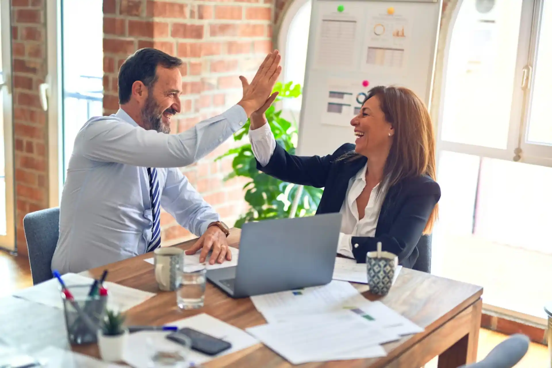 serviços Apoios e Projetos de Investimento contima guimarães